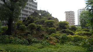 登山道は幾通りもあり五合目辺りにはお中道？らしき道も存在する本格的な富士山