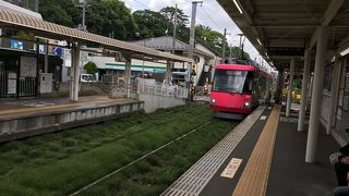 数少ない路面電車