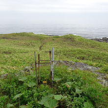 ここの視点からだと小さな孤島って感じです。