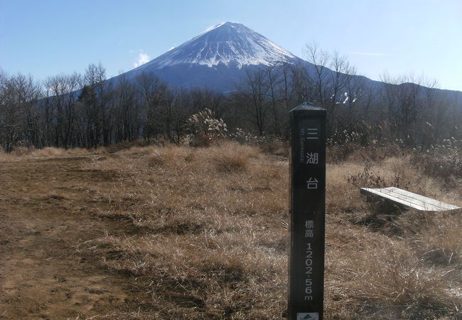 富士山はもちろん眼下の樹海や西湖の眺めも良い