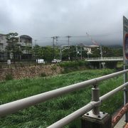 植物の茂 しげる川