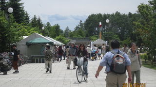 今年は高温で不作です。