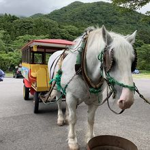 トテ馬車