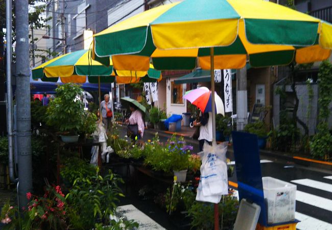 お富士さんの植木市と花のフェスティバル クチコミ アクセス 営業時間 浅草 フォートラベル お富士さんの植木市と花のフェスティバル クチコミ アクセス 営業時間 浅草 フォートラベル