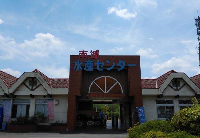 魚のテーマパーク！