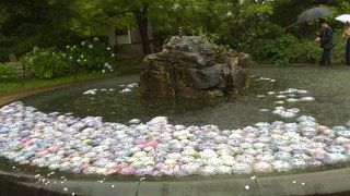 関西花の寺　6月はアジサイがきれい