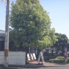 店舗自体は結構大きい