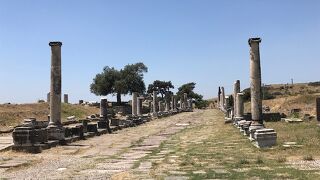 平らな場所にあるので、見て回りやすかった