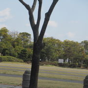 海沿いの公園