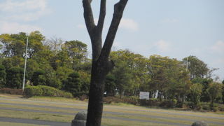 海沿いの公園