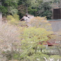 朝食会場から見えた十三重塔などの談山神社