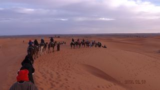 ♫月の砂漠を　はるばると　旅のらくだが　行きました