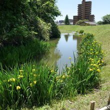 のどかな雰囲気もあります