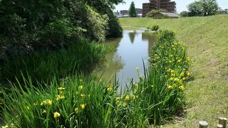 見どころの多い公園