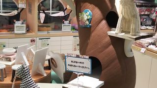 猫のペットショップ