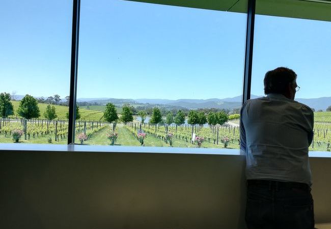 ワイン畑を眺めながらテイスティング