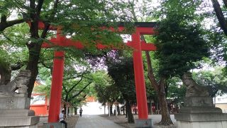 きれいな神社