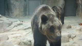 市内中心部の動物園。