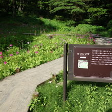 自然を利用した植物園で雰囲気ものんびりしている。