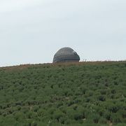 大仏を覆っていく工程がパネルで紹介されている。