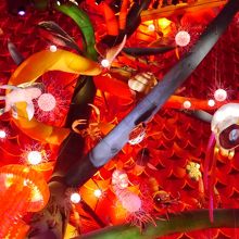 内部地下のみ撮影可能。