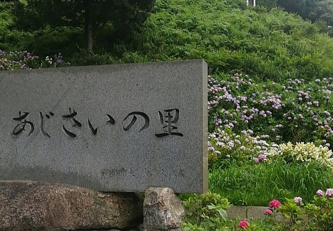 あじさいの里 クチコミ アクセス 営業時間 蒲郡 フォートラベル