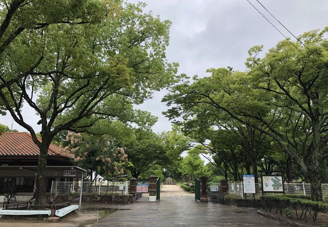 国際児童年記念公園こどもの森 クチコミ アクセス 営業時間 岡山市 フォートラベル 国際児童年記念公園こどもの森 クチコミ アクセス 営業時間 岡山市 フォートラベル