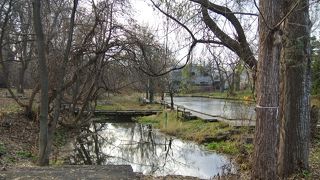 北海道大学キャンパス内の池