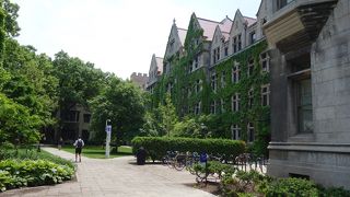 シカゴ大学