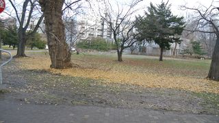 少し遅かった・・