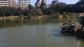 清澄庭園の大きな池