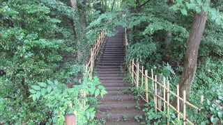 森のような城跡です