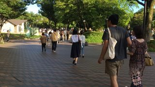 緑が多く広い公園