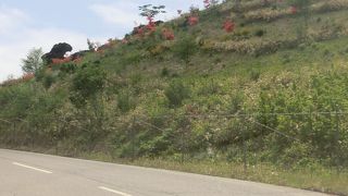 八ヶ岳連峰の絶景ポイント