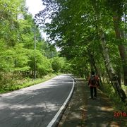 天女山入口からJR小海線まで歩きました