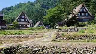 白川郷より田舎で良いですが.....