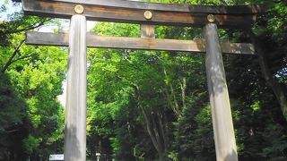 木造としては最大