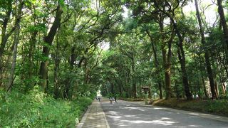 都会のオアシス