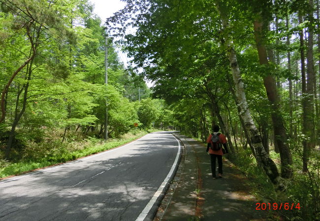 大泉高原