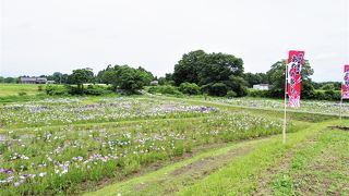 胆沢城跡