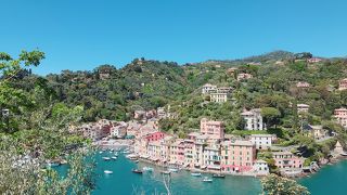 ここはディズニーシー？