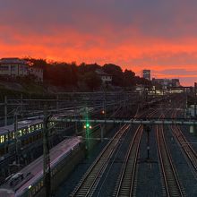 新幹線と上野東京ライン