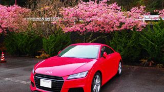 昔からあるお土産屋さん