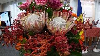 モルドバイベント