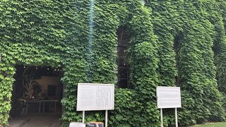 ツタに覆われています
