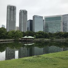 ビルに囲まれています