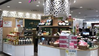 見てまわるのも楽しいです