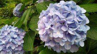 都会のオアシス？！