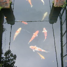 ジェラールの瓦工場と水屋敷跡 