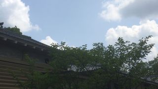 見学できませんでした